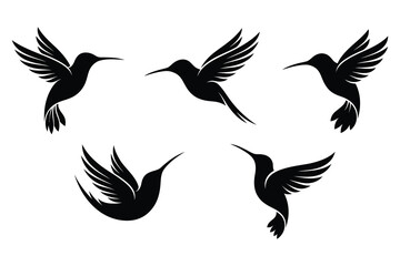 Obraz premium Five black hummingbirds flying in different directions on white background