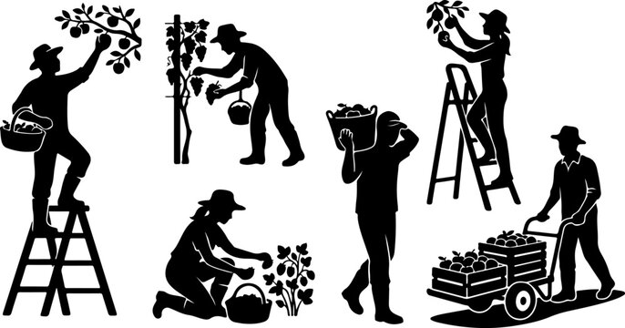 Set of silhouettes of farmers harvesting fruits and vegetables vector illustration