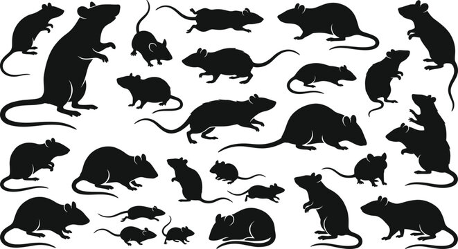 Black rat silhouette icons showing mice and rodents in various poses, running, standing, and sitting isolated on white background