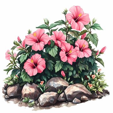 Vibrant Pink Hibiscus Garden Scene