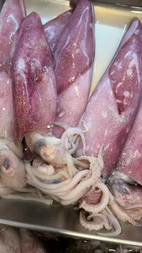 Large, very fresh squid. Raw squid. A delicious squid dish.