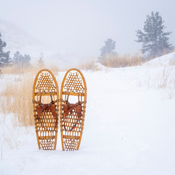 classic Bear Paw wooden snowshoes in a heavy winter snow on a trail at Colorado foothills