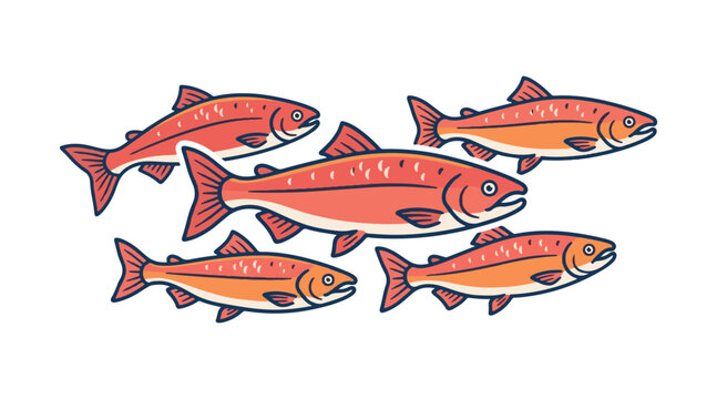 set of salmon fish on a white background. It&rsquo;s a cool element for an emblem or label design. Vector illustration.

