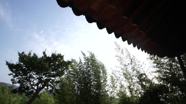 Korea Hwasun Chimsujeong traditional architecture pavilion building wooden structure roof tile dancheong nameplate culture heritage history 대한민국 한국 화순 침수정 전통 건축 한옥 정자 건물 기와 지붕 단청 현판 문화재 유산 역사