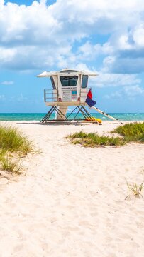 Seafront beach promenade with palm trees on a sunny day in Fort Lauderdale