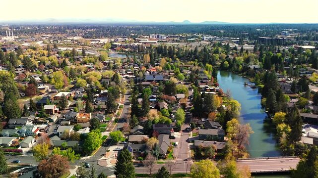 Drone hovers directly overhead revealing suburban rooftops barely visible beneath a dense and lush tree canopy