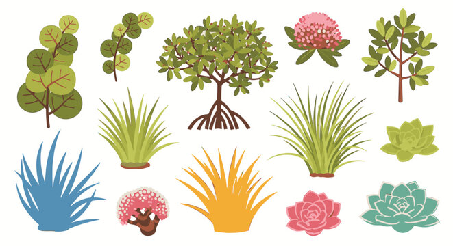Collection of coastal tropical plants including a mangrove tree with aerial roots, sea grape shrub, colorful ornamental beach grasses, flowering bushes, and succulent species isolated on white.