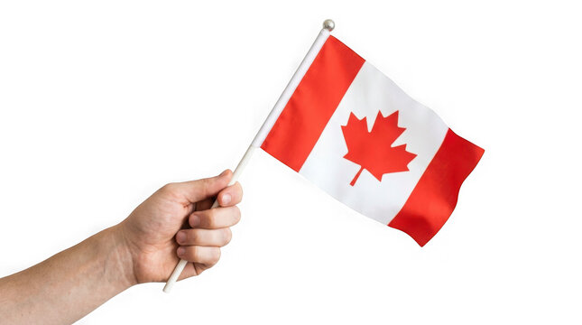 Hand holding a small canadian flag isolated on transparent background