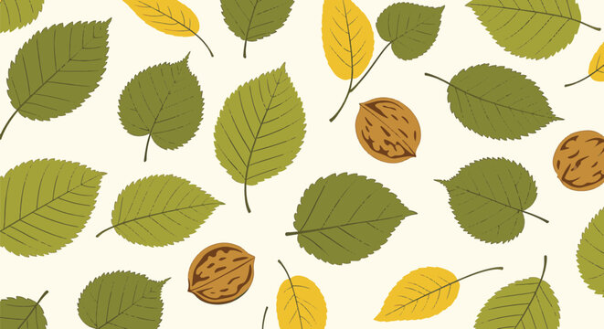 Flat vector illustration of a deciduous leaf set featuring green and yellow elm and linden leaves with walnuts on a cream background, suitable for autumn nature botanical patterns.