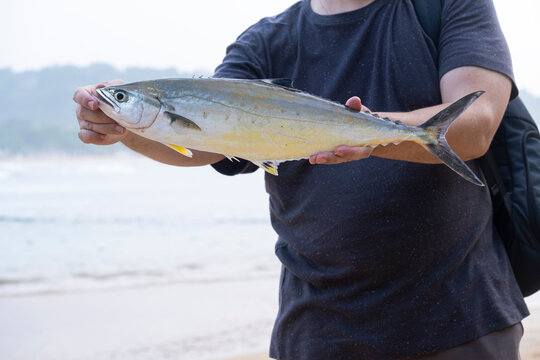 Fisherman holding a freshly caught queenfish in two hands on a beach background. Coastal sport fishing trophy, raw saltwater fish catch, ocean angling success and seafood theme.