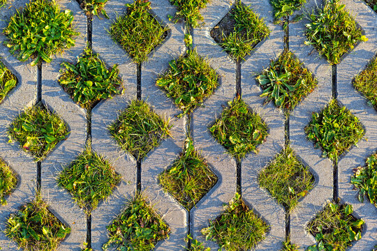 Grass Growing Through Concrete Paver Grid. Grass and weeds grow through geometric concrete pavers, creating a textured outdoor ground pattern with sunlight, shadows, and gray stone surfaces.