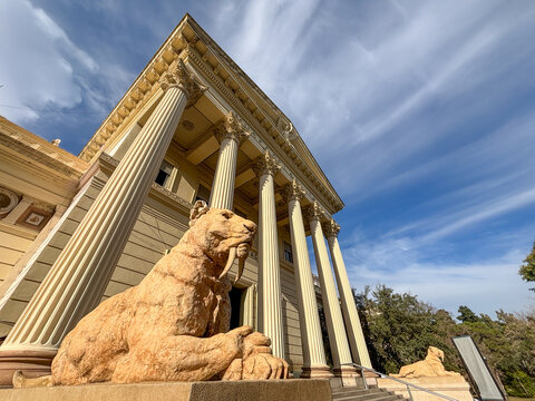 Sabertooth tiger sculpture at the Natural Sciences Museum in City of La Plata Argentina