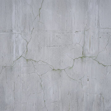 Weathered Cracked Concrete Wall Texture with Moss and Aged Cement Background