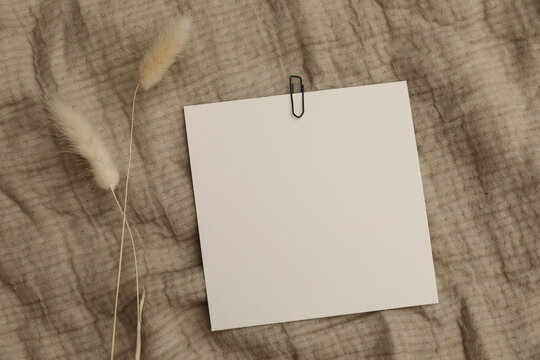 Modern minimal floral stationery still life. Blank square paper greeting card with black paper clip mock up scene. Lagurus ovatus grass, Beige table cloth, textile throw background. Flat lay, top view