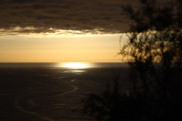 Golden sunset framed by coastal trees overlooking the Atlantic Ocean © Gabriela