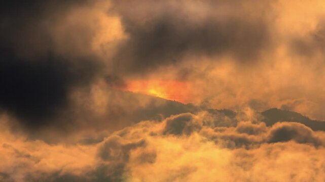 Dramatic Forest Fire at Sunset with Burning Woods Glowing Orange Sky Dark Storm Clouds and Fiery Nature Landscape Background