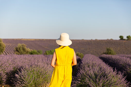 Femme vue de dos dans un champ de lavandes en fleurs portant un chapeau beige et une robe jaune vif, ciel bleu en arri&egrave;re-plan