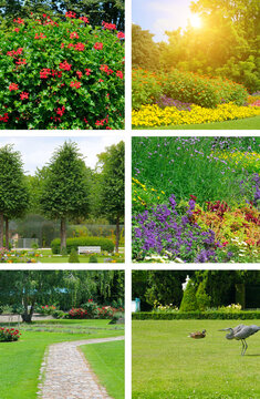 Beautiful collage of public park landscapes and summer garden flowers. Photo set of manicured botanical gardens, stone pathways, and vibrant blossoms.