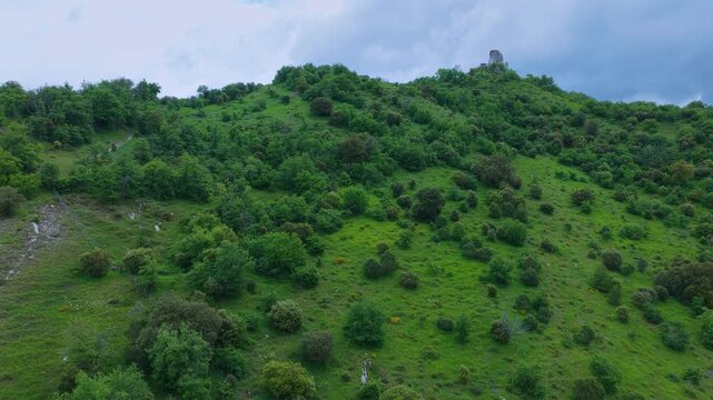 Aerial drone view of the ruins of Guevara Castle near the village of Guevara. Llanada Alavesa region. &Aacute;lava. Basque Country. Spain. Europe