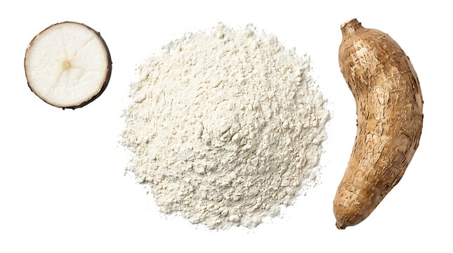 Fresh cassava root and grated cassava