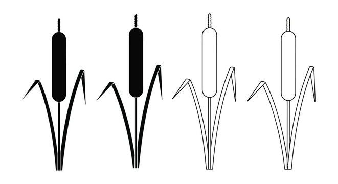Cattail Silhouette Collection Black And White Linear Design