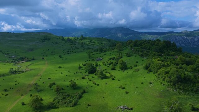 Aerial drone view of the spring landscape of beech forests in the Sierra de Entzia. &Aacute;lava. Basque Country. Spain. Europe