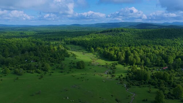 Aerial drone view of the spring landscape of beech forests in the Sierra de Entzia. &Aacute;lava. Basque Country. Spain. Europe