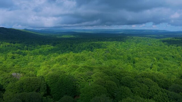 Aerial drone view of the spring landscape of beech forests in the Sierra de Entzia. &Aacute;lava. Basque Country. Spain. Europe