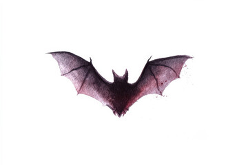 Fototapeta premium Watercolor Illustration of Bat on White Background