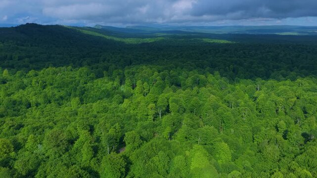 Aerial drone view of the spring landscape of beech forests in the Sierra de Entzia. &Aacute;lava. Basque Country. Spain. Europe