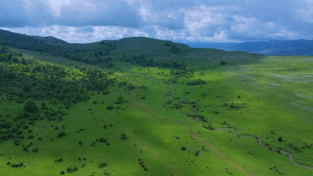 Aerial drone view of the spring landscape of beech forests in the Sierra de Entzia. &Aacute;lava. Basque Country. Spain. Europe