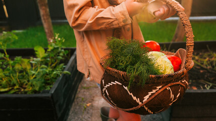 Child holding a basket full of fresh vegetables from the garden © shine.graphics
