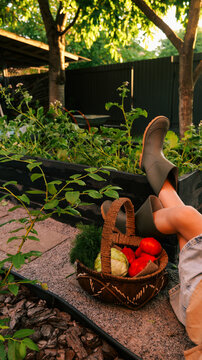 Relaxing in the garden after harvesting fresh vegetables and fruits