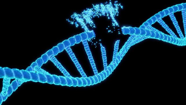 3D animation sequence showing a localized mutation within a blue DNA double helix strand. The single-strand break releases a cloud of fragments, illustrating the potential for gene-level alterations. 