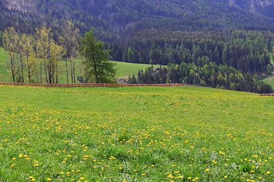 Santa Maddalena Val di Funes South Tyrol Italy