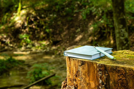 Carnet et stylo d&eacute;pos&eacute;s sur une souche en pleine for&ecirc;t avec un vaste espace de copie. Concept illustrant l'&eacute;criture, la cr&eacute;ativit&eacute;, le d&eacute;veloppement personnel et la s&eacute;r&eacute;nit&eacute;.