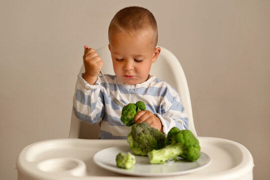 A young child sits in a high chair and picks up broccoli with a fork. The child shows focus on the food during lunch at home