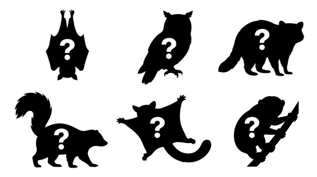 Silhouette collection of six forest animals with question marks, including a bat, owl, raccoon, squirrel, flying squirrel, and monkey, presented in a