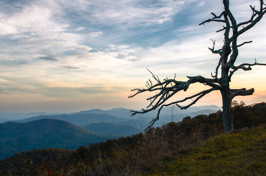 Autumn in  Shenandoah National Park, Virginia, United States of America

