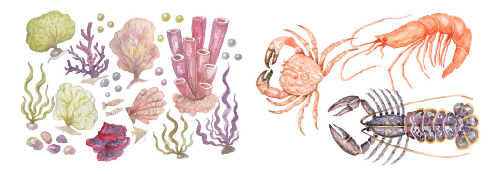 Watercolor seafood set with crab, shrimp and lobster. Hand drawn isolated marine animals illustration. Crustaceans elements for restaurant menu design, packaging, sublimation.