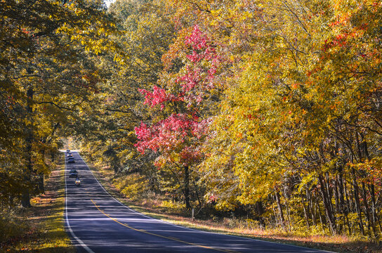 Autumn in  Shenandoah National Park, Virginia, United States of America
