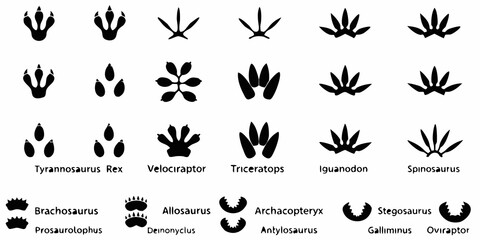 Dinosaur Footprint Silhouettes On White Background Paleontology Illustration © Dipa