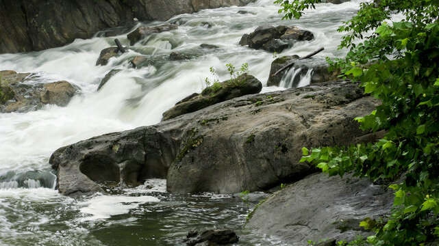Rushing river water flowing over rocks in forest