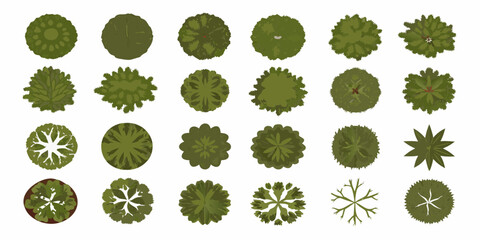 Top down View Trees Collection Vector Illustration On White Background © Dipa