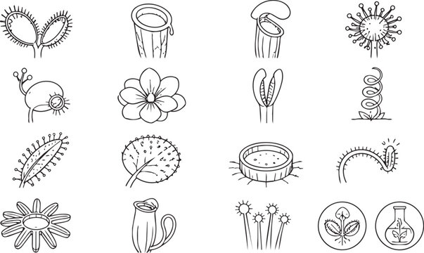 Carnivorous plant sketches set including venus flytrap and pitcher