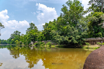 Fototapeta premium Tropical Pond Surrounded by Lush Forest in Cambodia