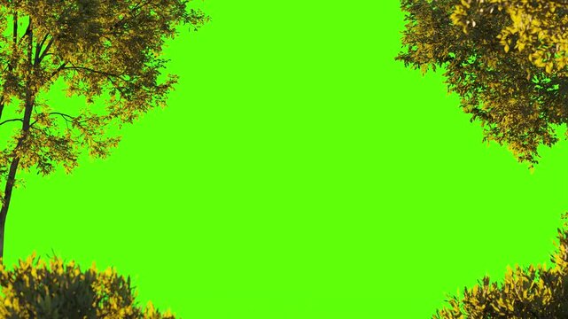 Foreground autumn tree and bush leaves frame isolated on green background closeup. 4K Fall yellow tree leaf Frame