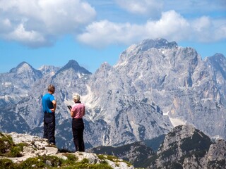 Naklejka premium slovenian alps