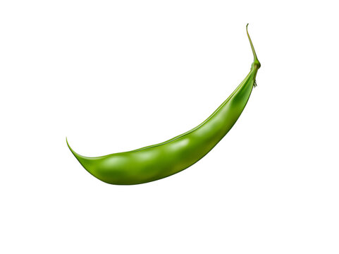 A vibrant green snow pea pod isolated on a transparent background, showcasing fresh produce and healthy eating concepts.
