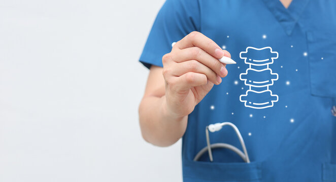 close up physical therapist hand pointing on human skeleton icon at back to advise and consult to patient to treatment in medical clinic office for healthcare concept